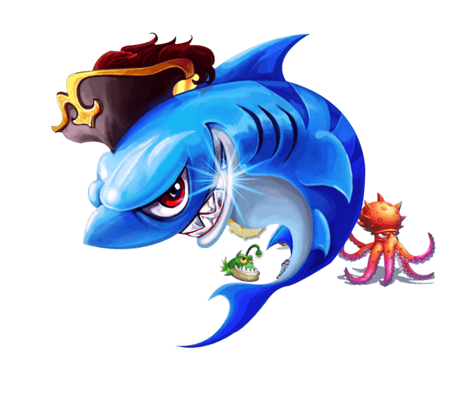 星空·体育综合V11.31.2安卓版 2